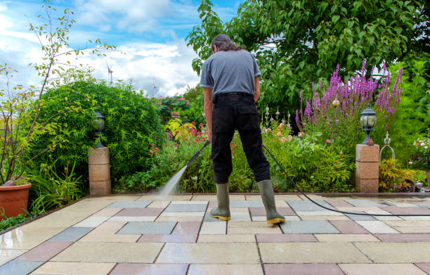 Best Gutter Cleaning and Brightening in Penn Valley, CA